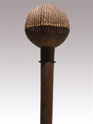 FIJIAN SCEPTER